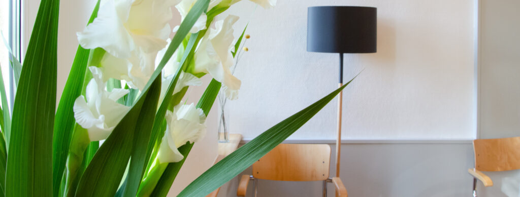 Blick ins Wartezimmer mit Pflanze im Vordergrund