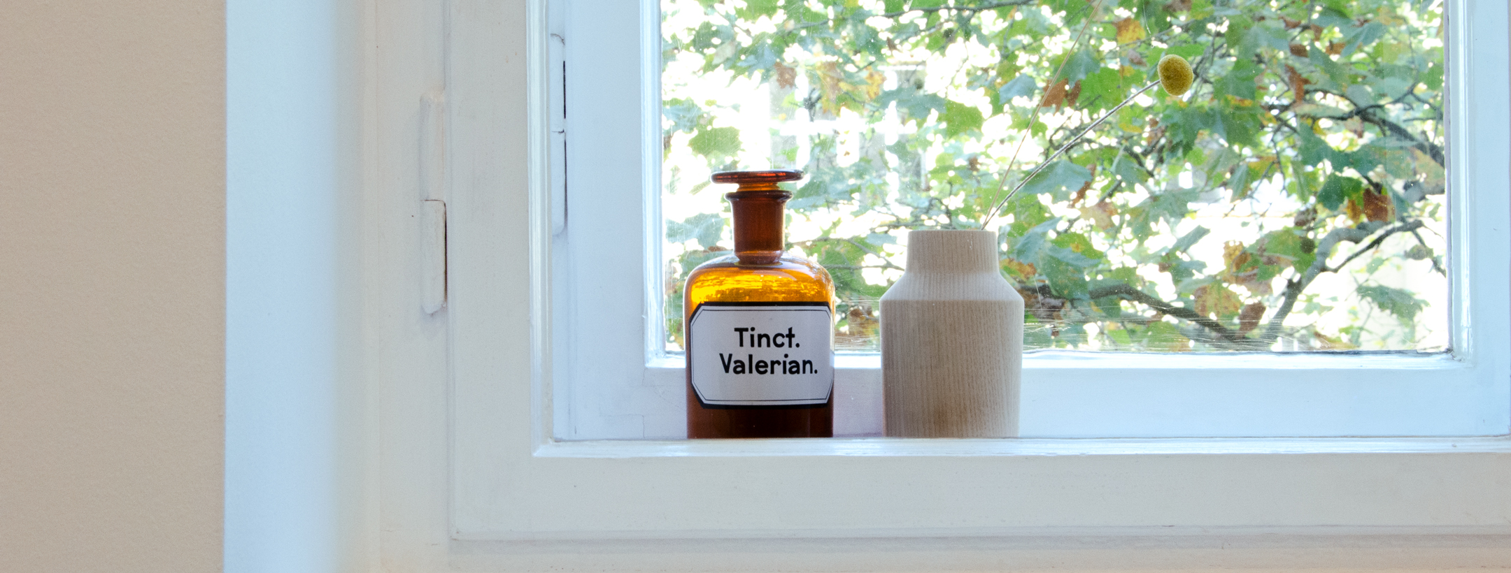 Braune Apothekerflasche und Vase im Fensterkasten